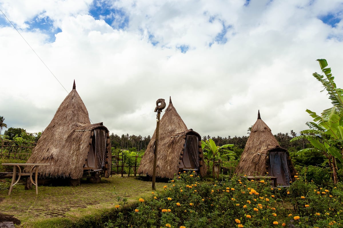 Thatched-roof huts in a rural setting with a thatched table and orange flowers in the foreground.