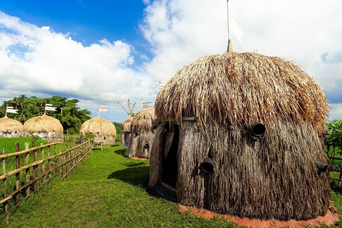 Thatched-roof huts with a bamboo fence in a grassy area.