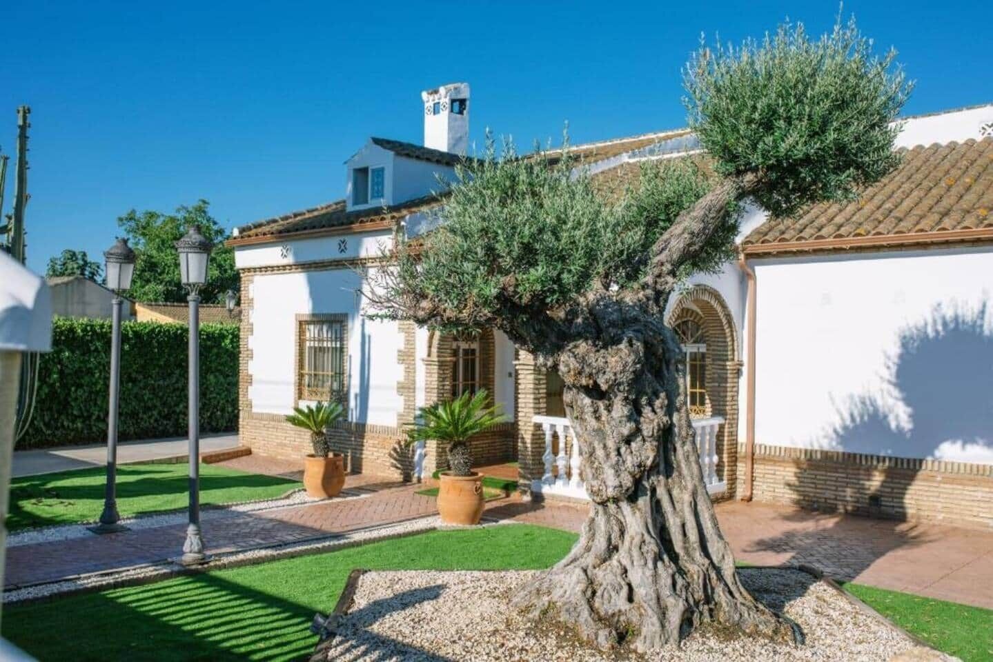 Àrea exterior de l'allotjament