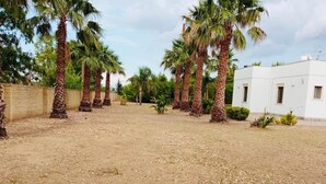 Une cour intérieure agrémentée de palmiers et d’un bâtiment blanc.