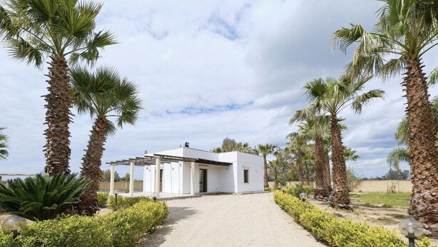 Un bâtiment moderne de couleur blanche, doté d’un patio couvert, entouré de palmiers et bordé d’un chemin de gravier.