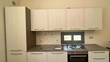 Oven, stovetop, dishwasher