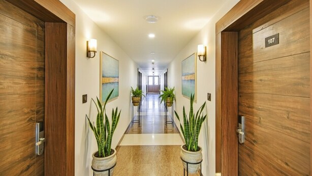 A hotel hallway with wooden doors, potted plants, and artwork on the walls. - Fabhotel Anutham (New Delhi)