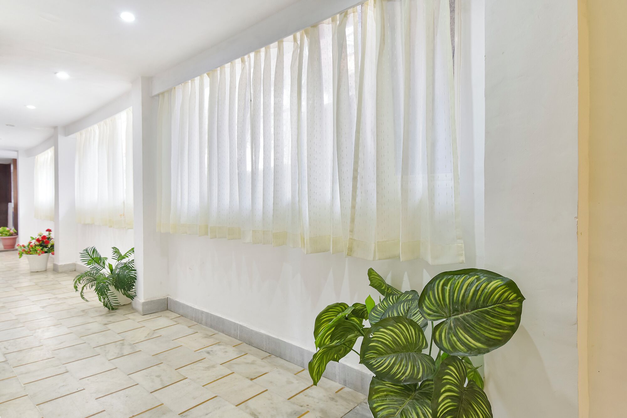 A hallway with a tiled floor, white walls, and a large window with sheer curtains. There are potted plants along the wall.