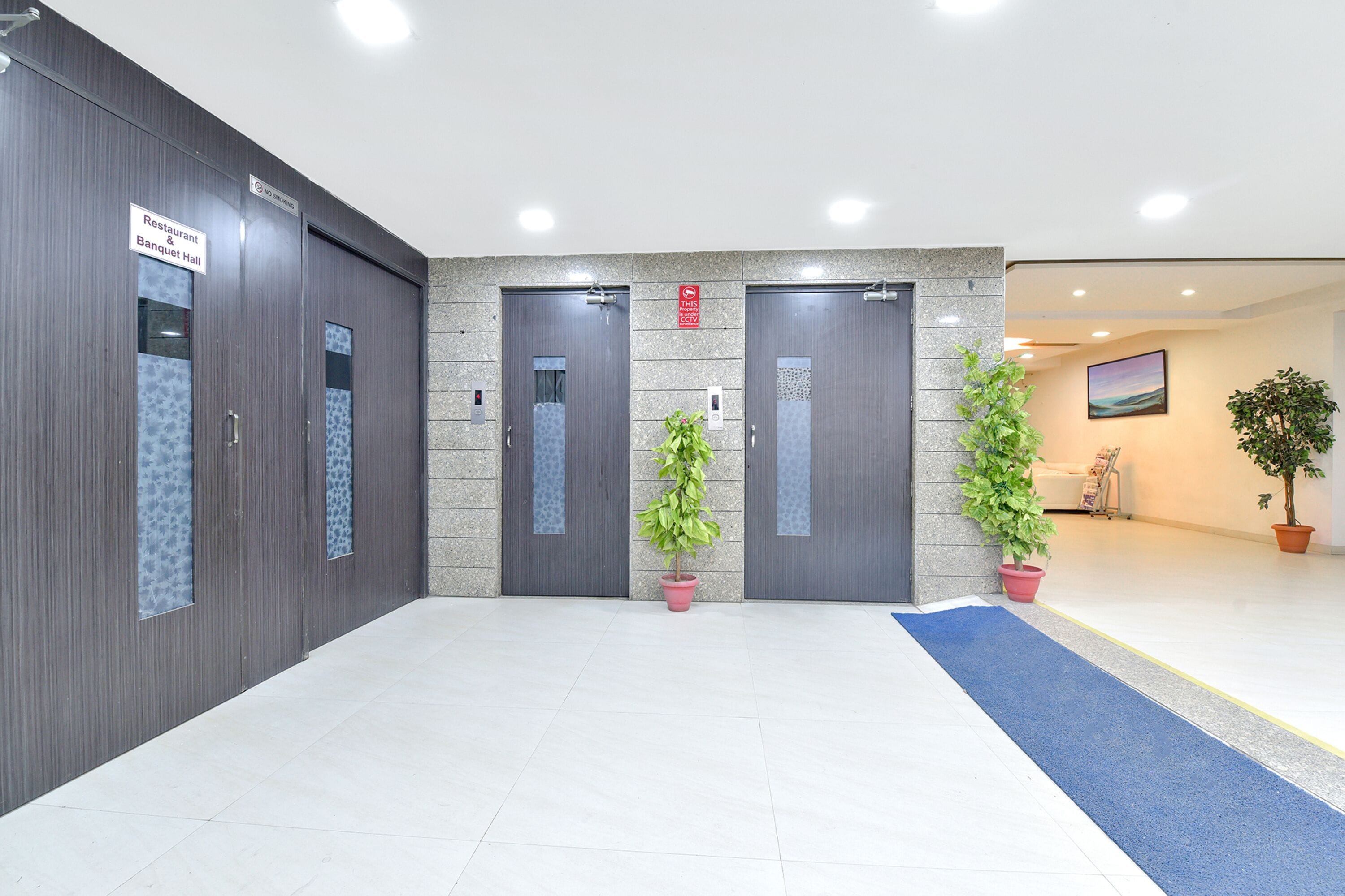 A hotel lobby with a reception desk, a blue carpet, and potted plants.