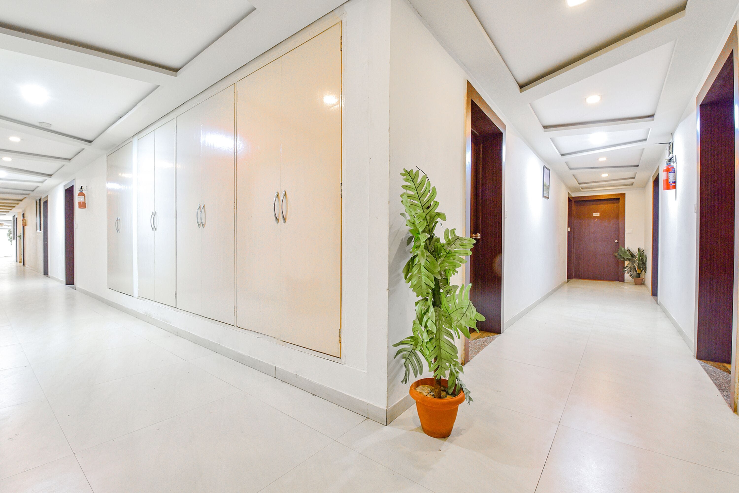 A corridor with lockers, a potted plant, and a fire extinguisher.
