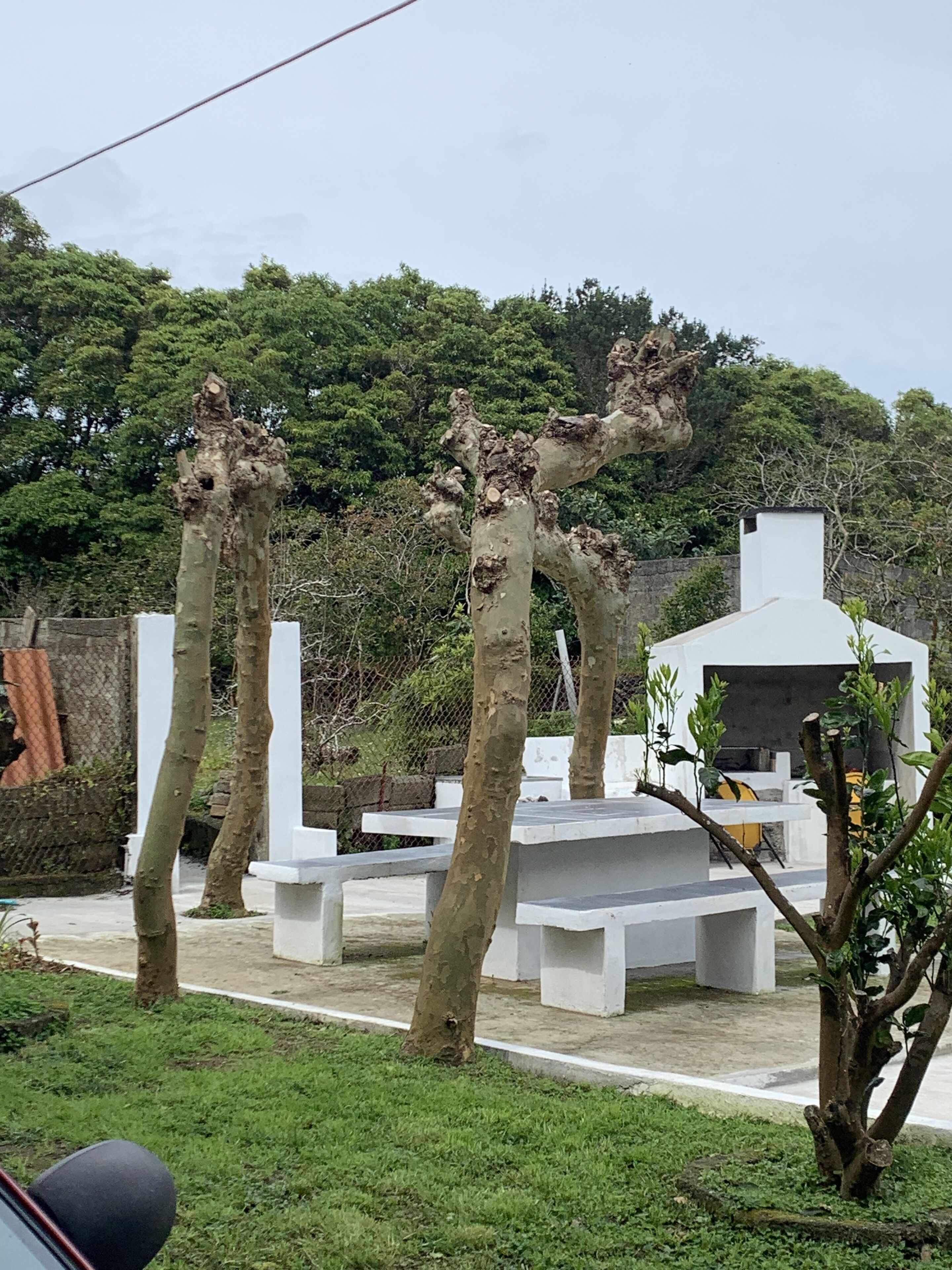 House | Property grounds