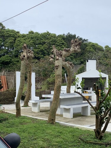 Charming 3-bed House