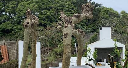 Charming 3-bed House