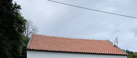 A single-story building with a tiled roof, white walls, and a metal fence.