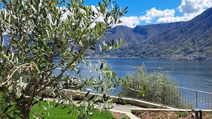A landscaped garden with a tree, a pathway, and a view of a lake and mountains. - Villa Clementina Boutique Hotel (Colonno)