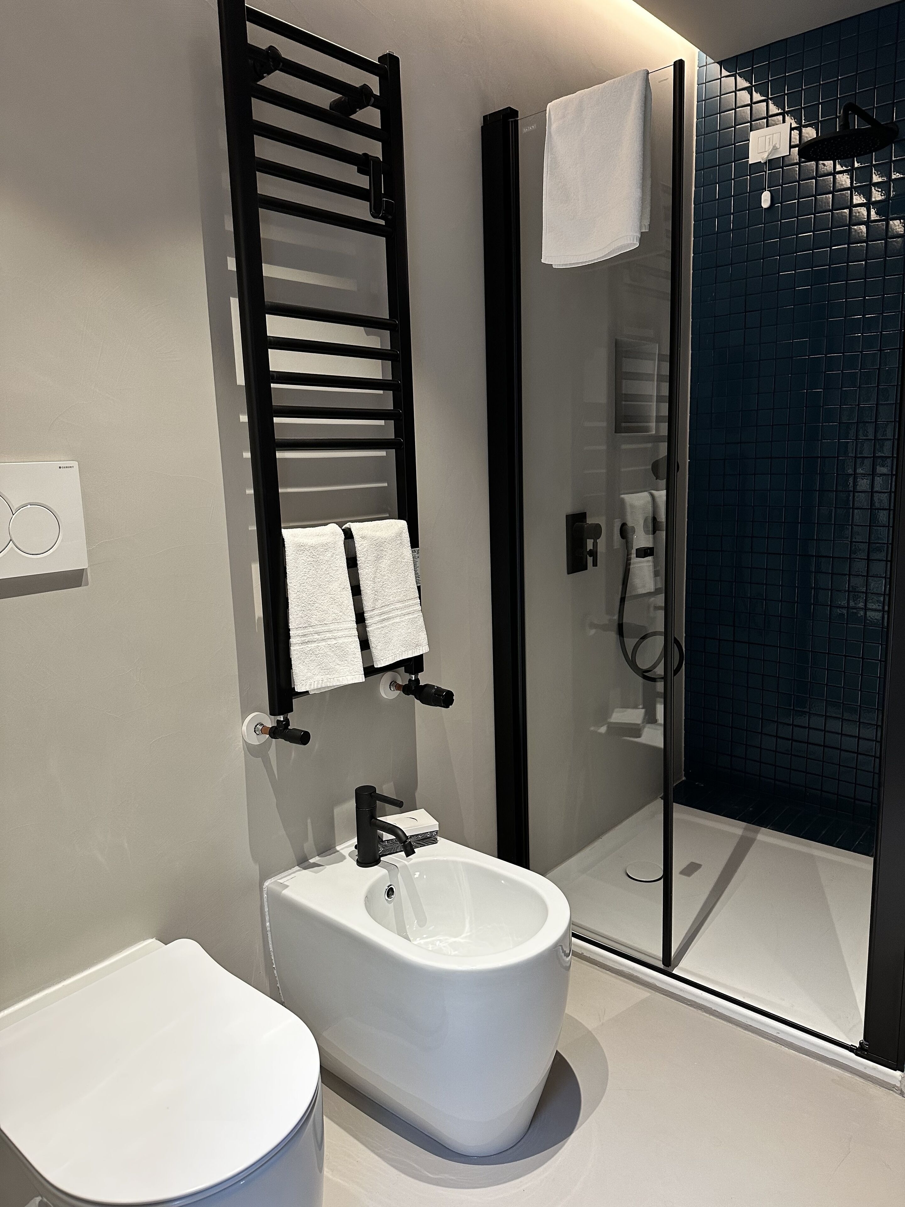A modern bathroom with a bidet, a glass shower enclosure, and a towel rack.