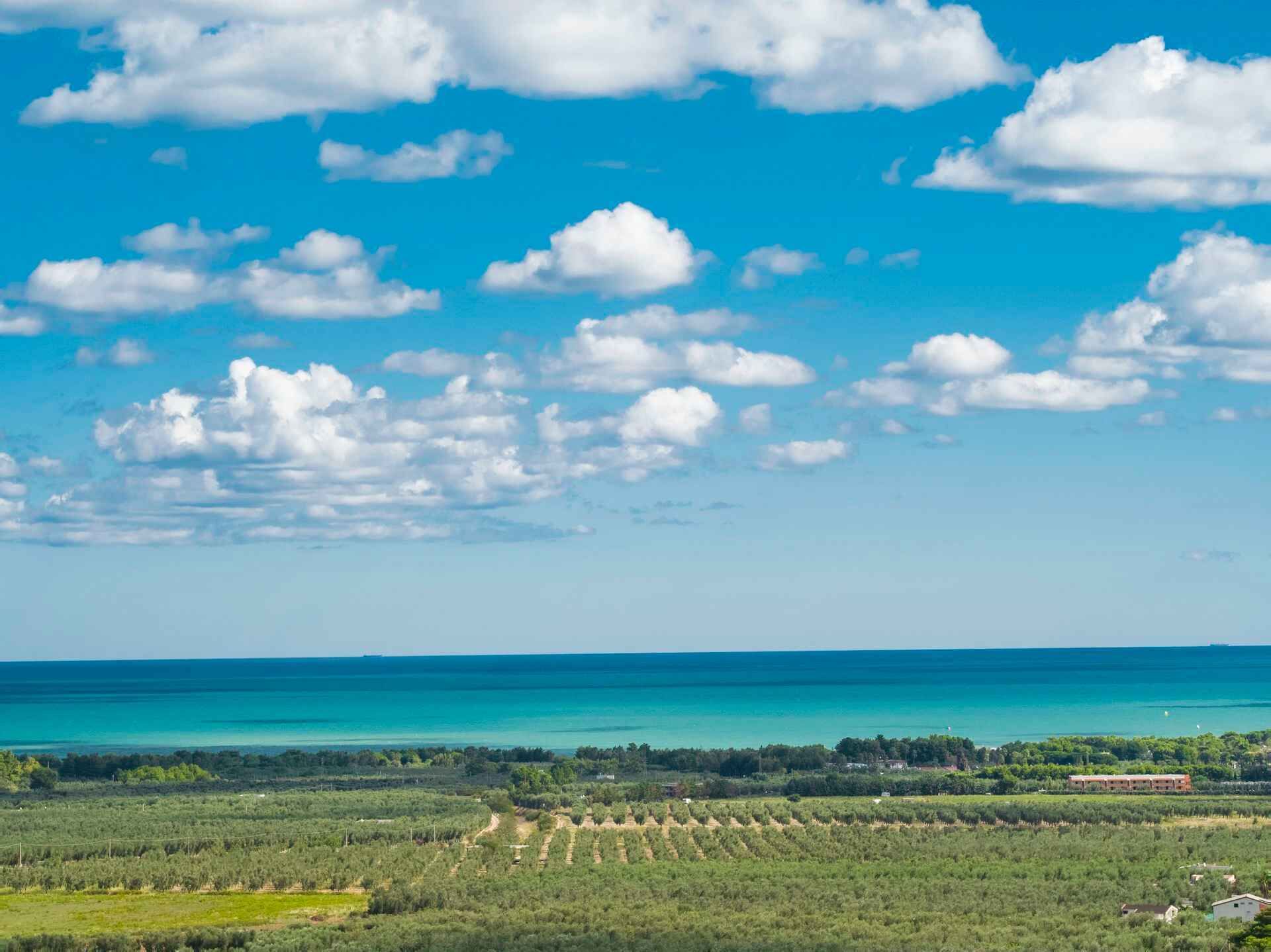 Foto - Residence Villantica