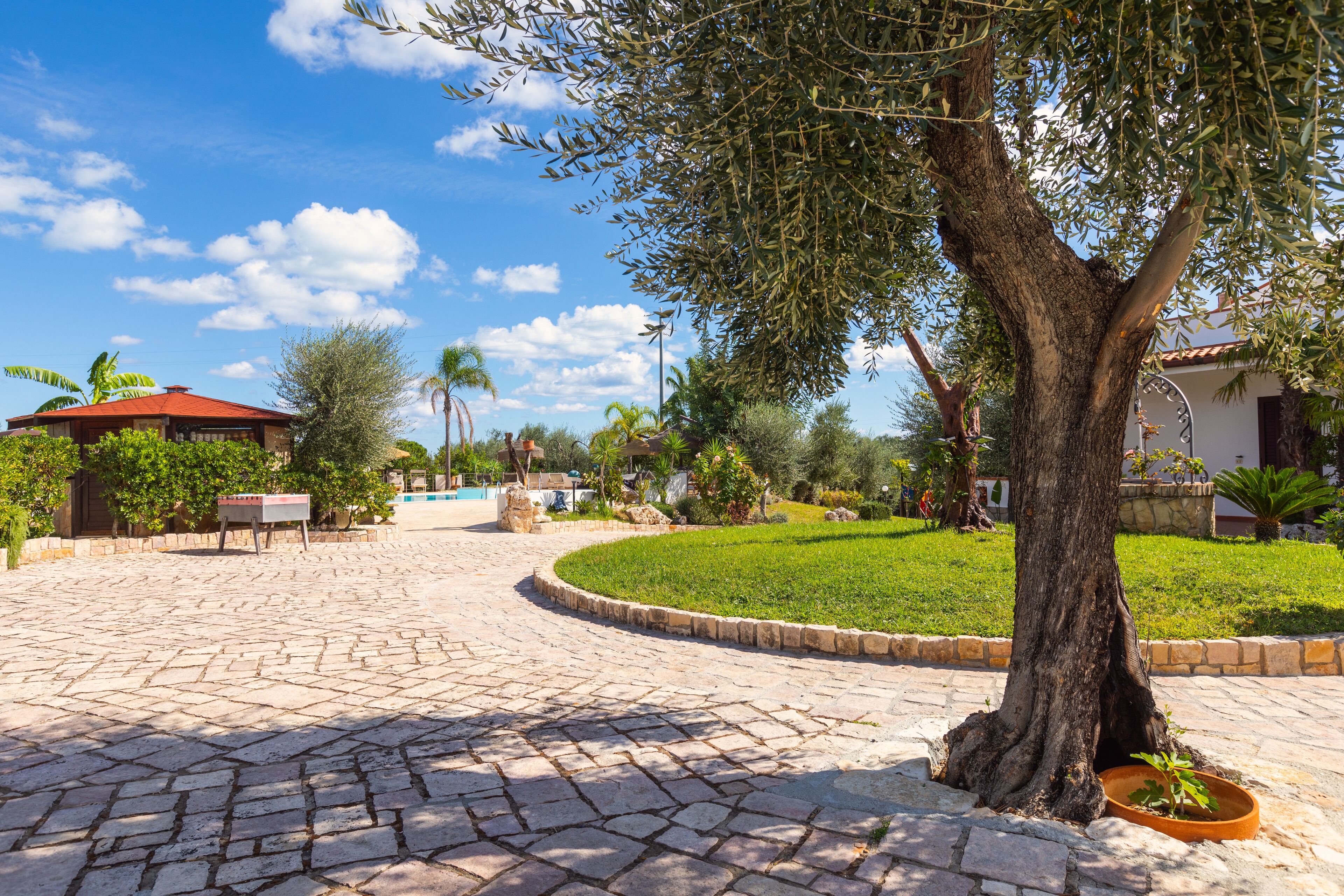 Foto - Residence Villantica