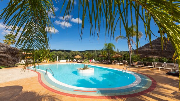 A swimming pool with a central island, surrounded by lounge chairs and palm trees. - Residence Villantica (Vieste)