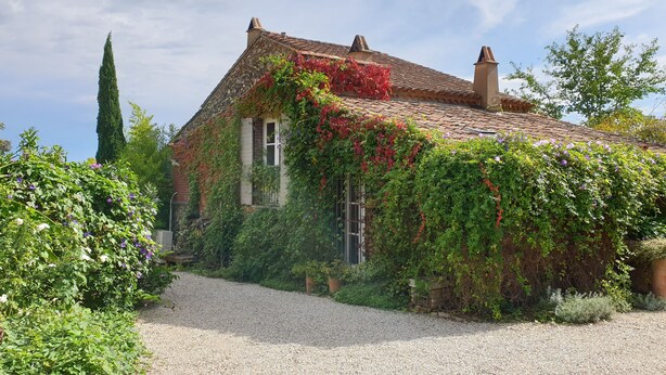 Une maison avec un toit en pente, entourée d’une allée en gravier et recouverte de lierre et de plantes à fleurs.