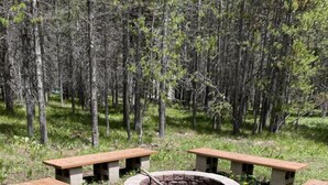 Ein Campingplatz mit vier Holztischen, die um eine zentrale Feuerstelle aus Stein angeordnet sind.