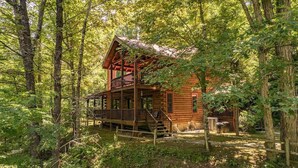 A rustic cabin surrounded by dense forest.