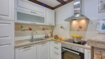 Family House, Multiple Bedrooms (Wellness House On The River Kupa) | Private kitchen | Fridge, microwave, oven, stovetop