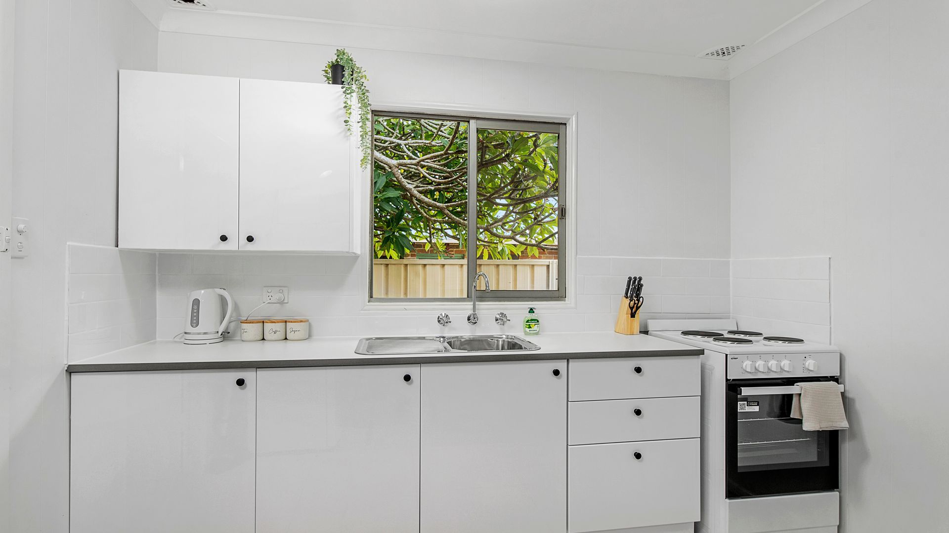 A modern kitchen with white cabinetry, a window with a view of trees, a kettle, a sink, and a stove.