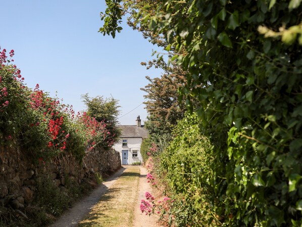 A narrow rural path leading to a white house with a blue door, surrounded by dense vegetation and flowering plants.