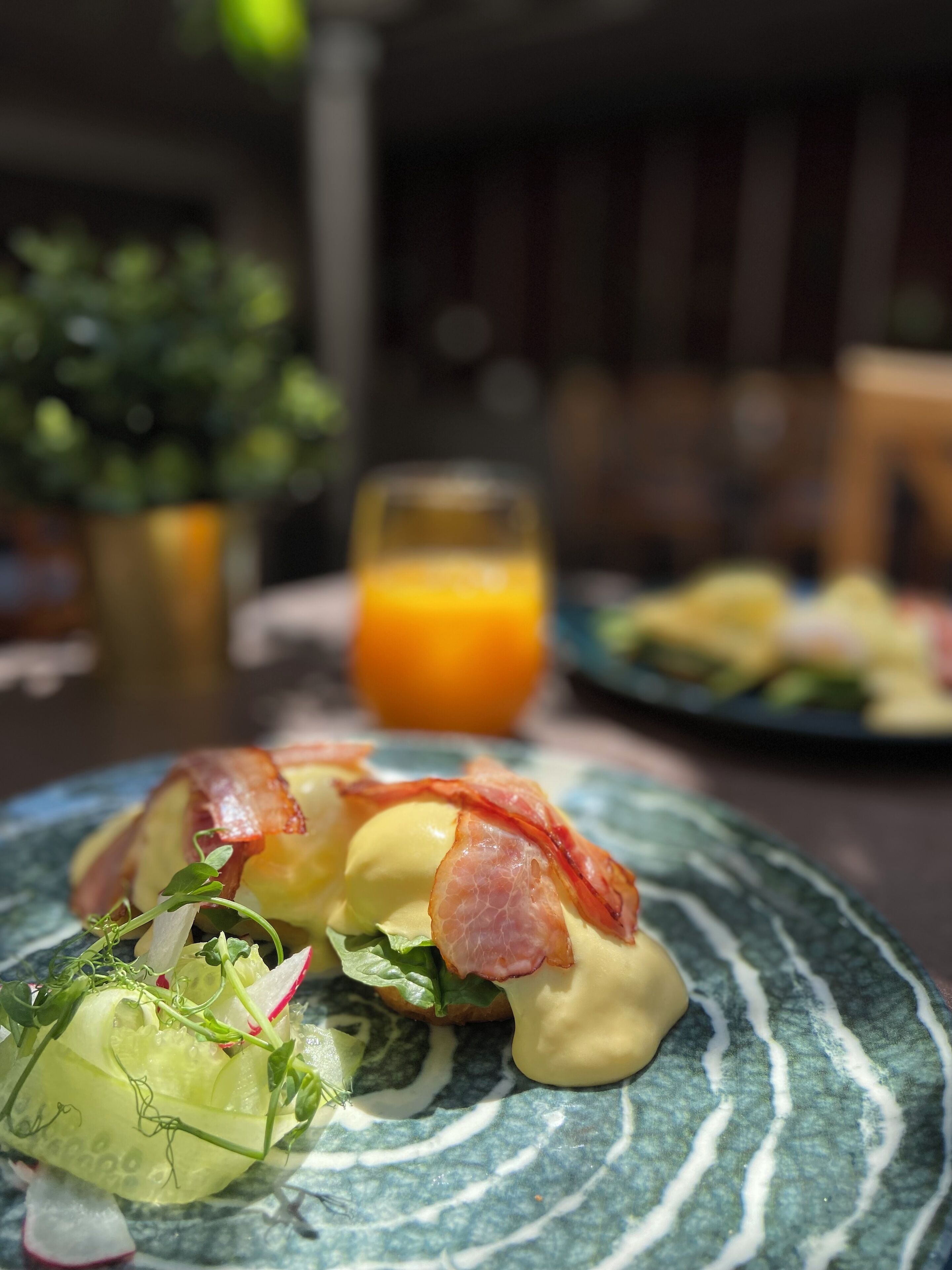 A plate of food with bacon and greens, a glass of orange juice, and a potted plant in the background.