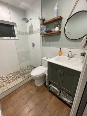 Regadera, secadora de cabello, bidet, toallas 