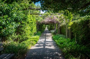 A paved pathway flanked by lush greenery and a wooden bench.