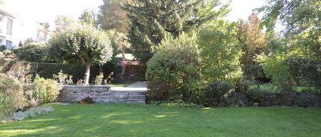 Um jardim bem cuidado com um muro de pedra, arbustos variados e uma árvore sempreverde alta.