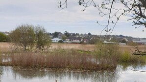 A view of a pond with cattails, surrounded by grass and trees, with houses in the background. - Large 3 bed bungalow set in Woodland grounds near Tamar lakes and local beaches (Kilkhampton)