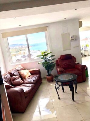 Smart TV, lareira, livros, biblioteca musical