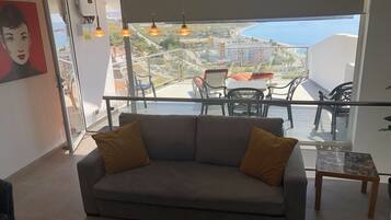 Smart TV, lareira, livros, biblioteca musical
