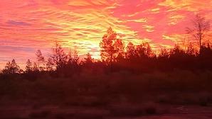 A sunset with a vibrant sky and silhouettes of trees. - Bush getaway -technology free, soaking up the Aussie Bush (Crossroads)