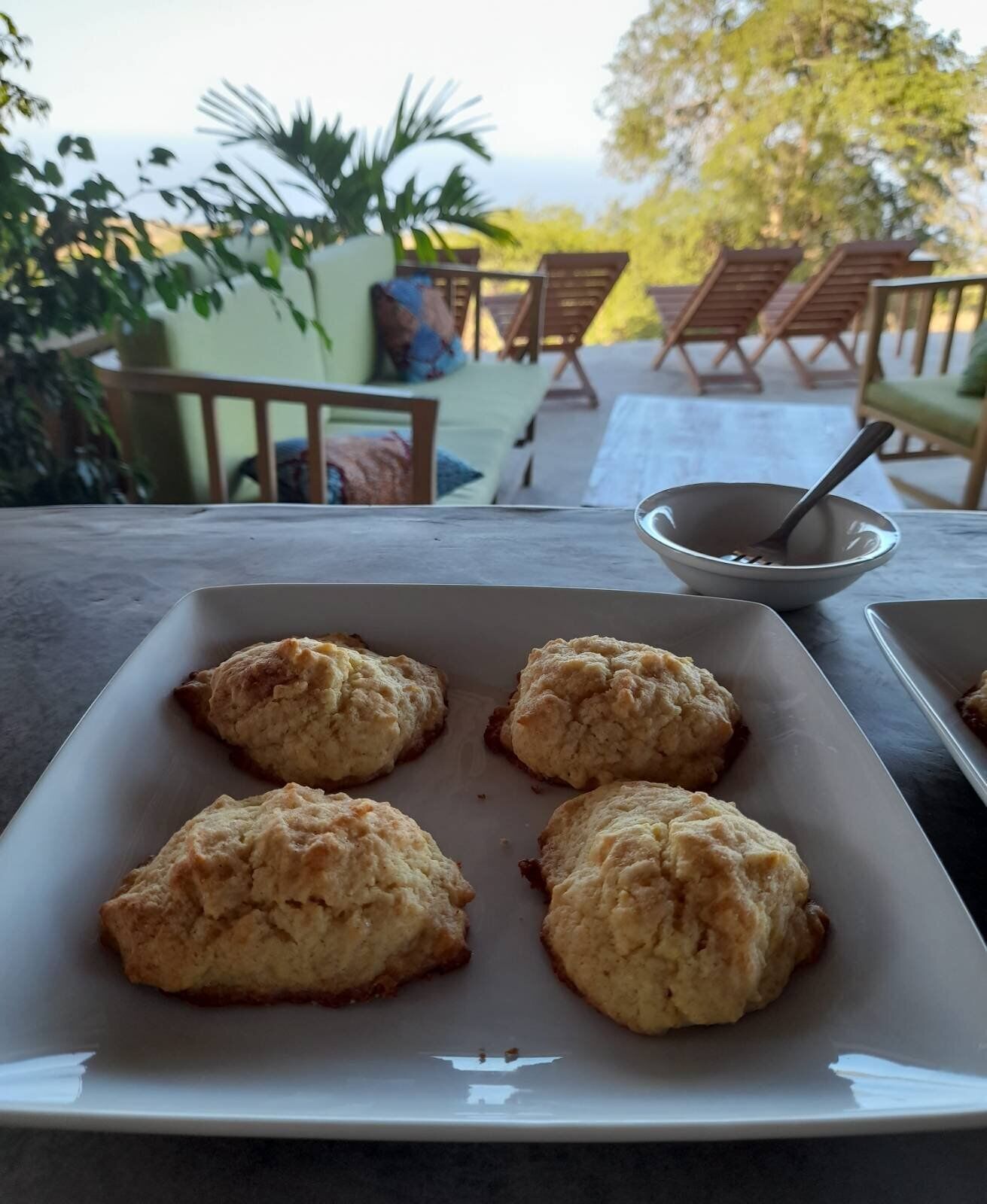 Een bord met koekjes op een tafel, met uitzicht op een terras en planten.