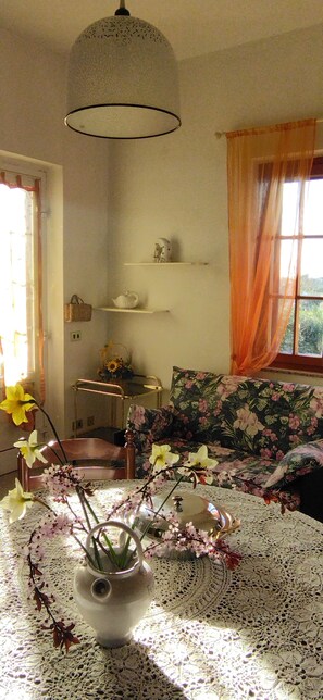 Télévision, cheminée, livres