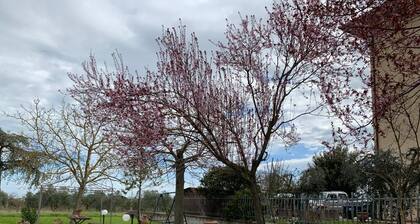 Holiday home with panoramic terrace ideal for families and couples