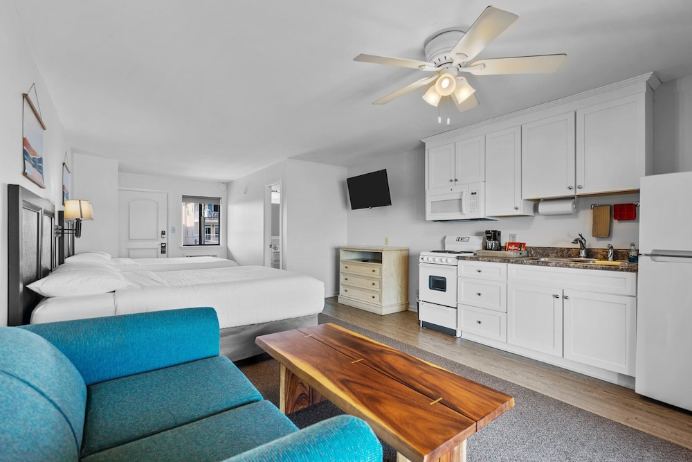 The Beach House photo 8