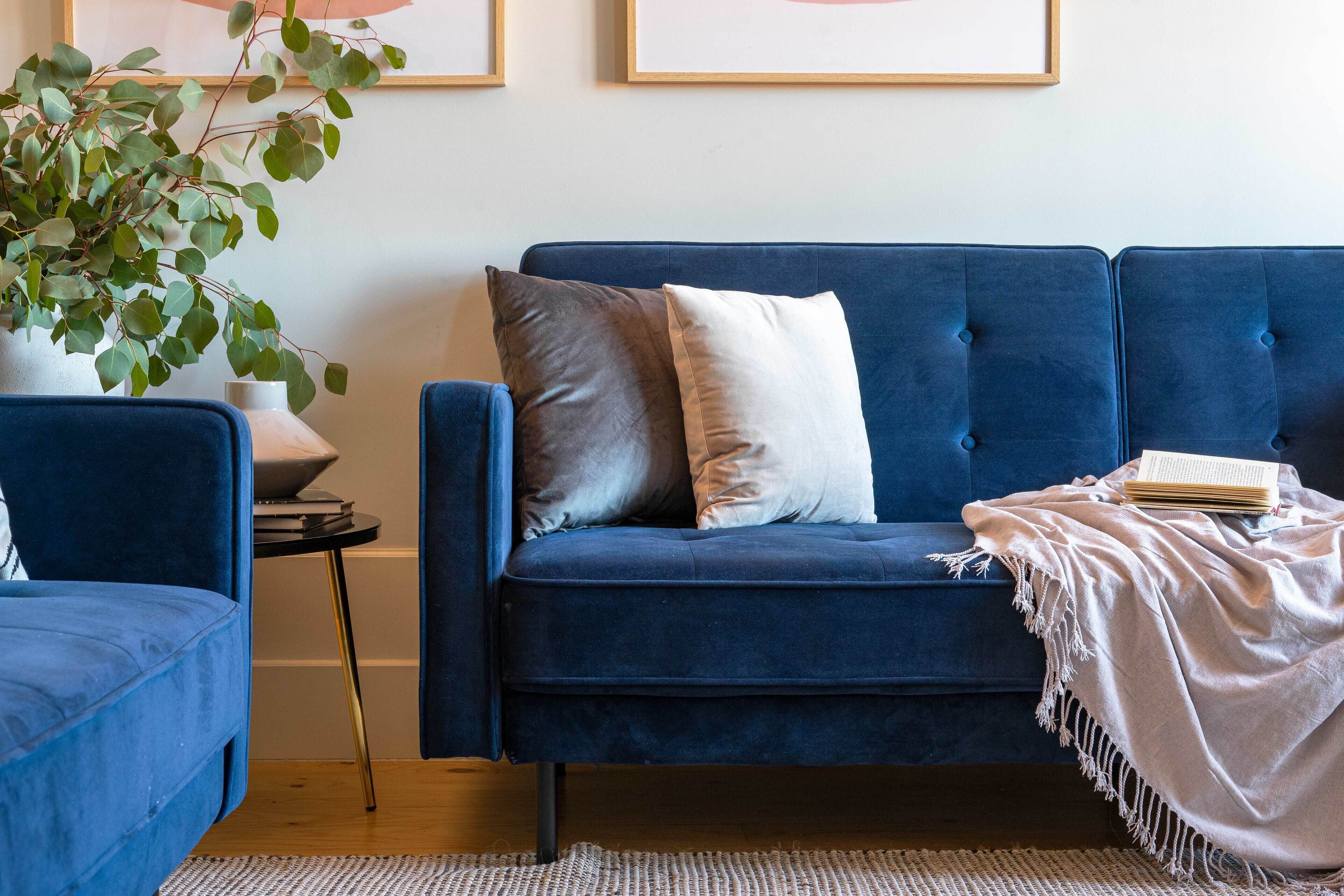 A blue sofa with two pillows, a small table with a lamp, and a plant.