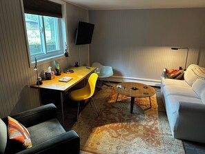 Smart TV, music library, stereo - Mid-Century DJ’s Dream (Staatsburg)