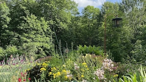 Un jardín con diversas plantas y flores, un sendero y un comedero para pájaros.