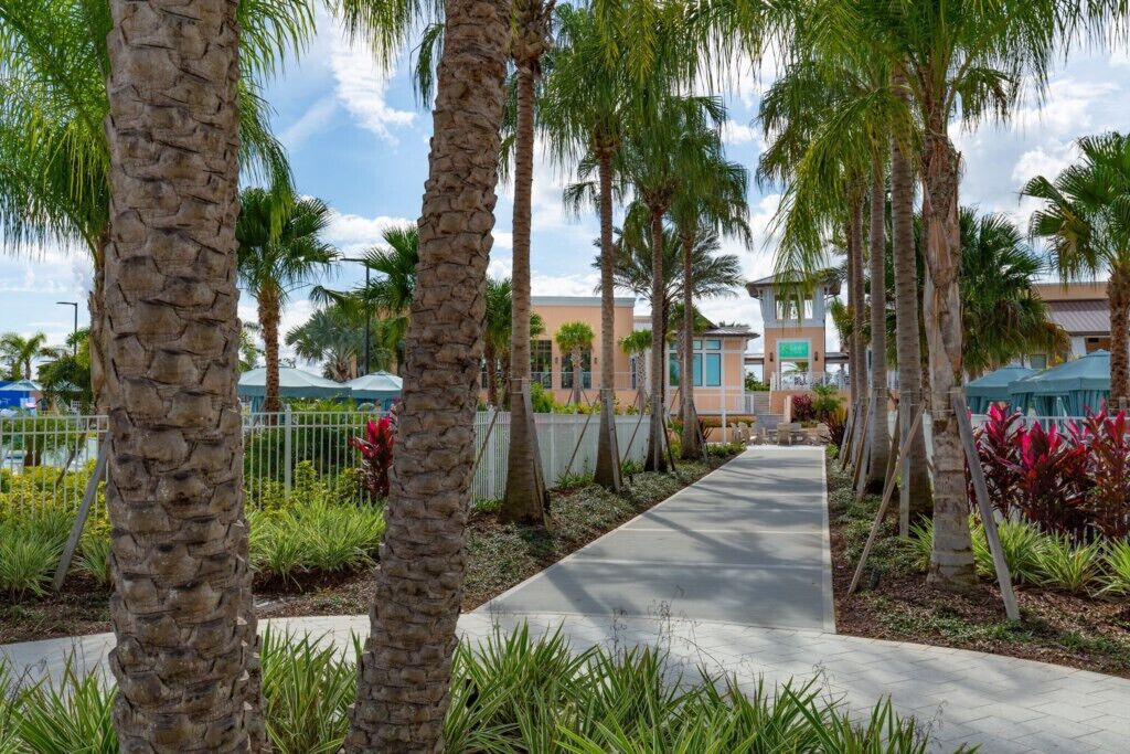 A pathway lined with palm trees and a building with a light-colored facade in the background.