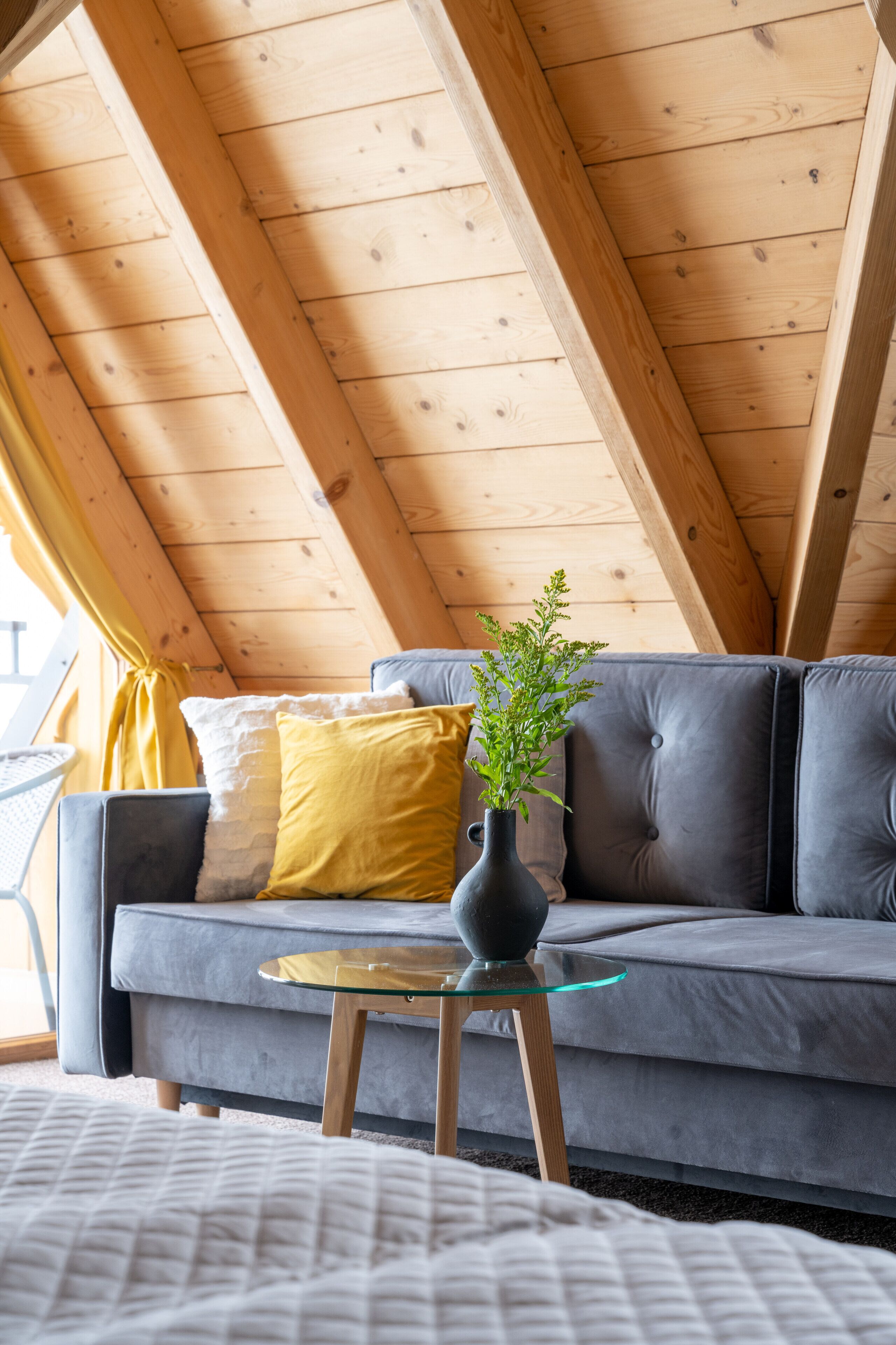 A cozy room with a gray sofa, a glass coffee table, and a plant.