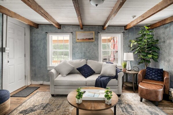 TV, books, stereo - Creekside Cabin w Hot Tub, Fire Pit, Deck & Grill! (Mount Jackson)