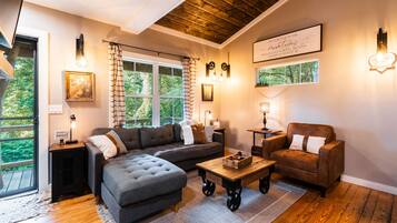 Smart TV, fireplace, books