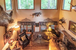 Televisio, takka, videopelejä, työhuone