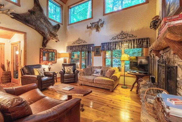 TV, fireplace, video games, offices