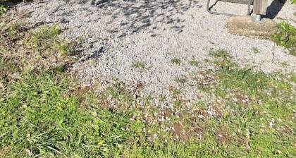 Gite Grenouille , Maison de plain-pied au calme