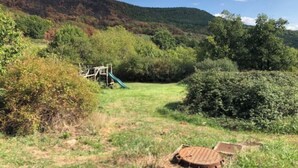 Ein Spielplatz mit Rutsche und Klettergerüsten in einer grünen Wiese, umgeben von dichtem Buschwerk und Bäumen.