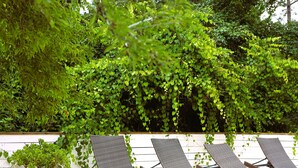 Une rangée de fauteuils de jardin en osier, avec un mur en bois blanc derrière, partiellement recouvert de lierre vert.