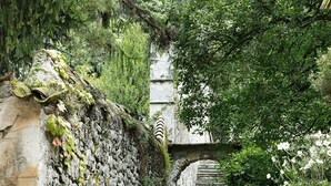 A stone staircase leading up to an arched entrance, surrounded by lush greenery. - Palazzo Rosati 1701 – An 18th-Century Palace with a Stunning View over Lake Como (Bonzanigo)